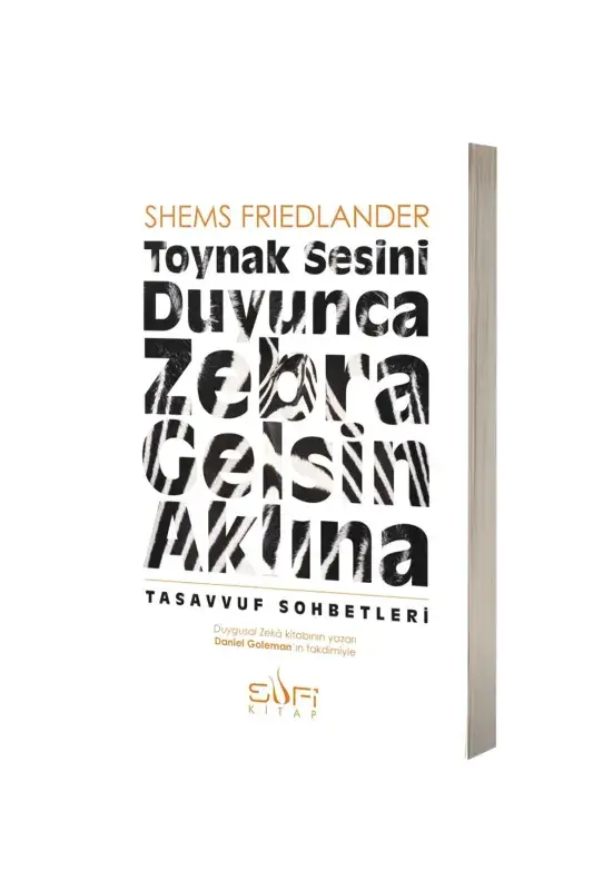 Toynak Sesini Duyunca Zebra Gelsin Aklına - 1