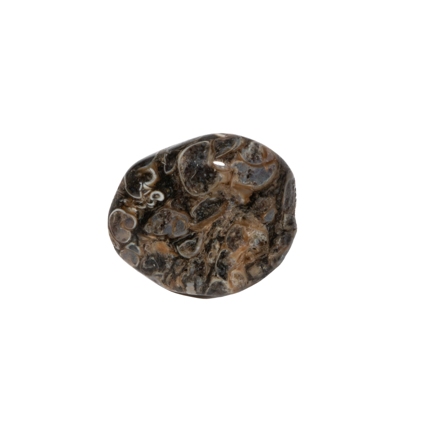 Turritella Doğal Taş Tımbıl El Taşı - 3