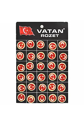Vatan Türk Bayraklı Dipli Rozet - Vatan (1)
