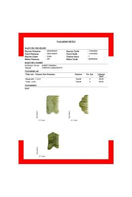 Yeşim Taşı Gua Sha Yüz Masaj Taşı Kaz Ayaklı - 4